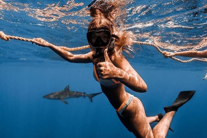 Open Water Shark Dive - Price and value: what $161.57 buys you on O‘ahu