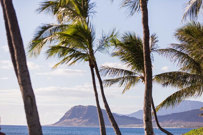 Paradise Cove Luau - Choosing between Standard, Orchid, and Premium: value math that helps you decide