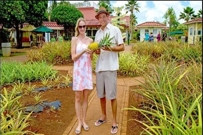 Pearl Harbor, Dole Plantation, and Polynesian Center from Kauai - Key highlights at a glance