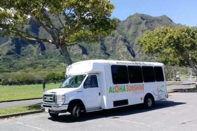 Pearl Harbor, Dole Plantation, and Polynesian Center from Kauai - Pearl Harbor: visitor center, documentary, and the USS Arizona Memorial boat ride