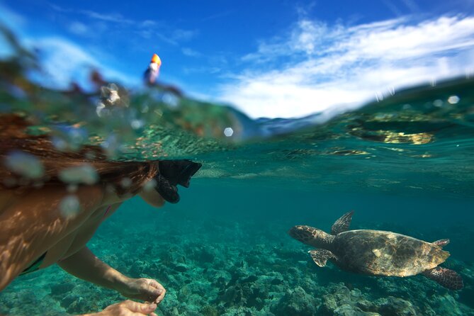 Premium Oahu Circle Island Tour – Small Group, No Crowds - Makapu‘u Point Cliffs, The Dragon View, and Big-Wave History