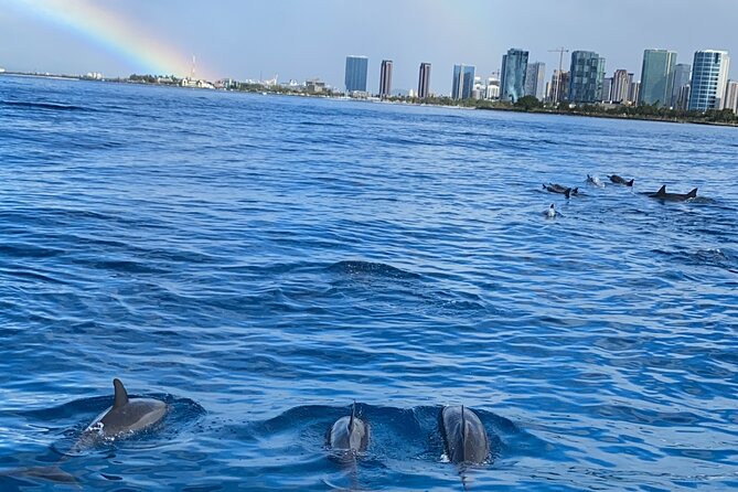 Private Catamaran Cruise and Snorkeling Tour in Honolulu - Wildlife Chances: Turtles, Dolphins, and Whale Searches