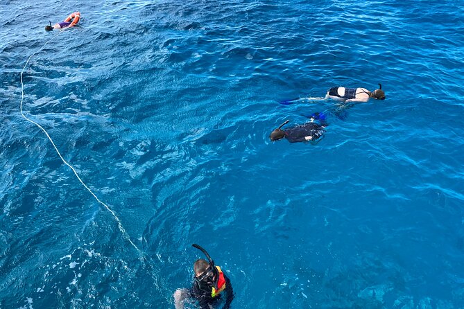 Private Catamaran Cruise and Snorkeling Tour in Honolulu - Price and Logistics: What You’re Really Paying For