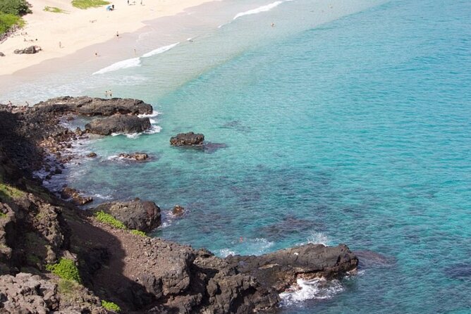 Private Customizable Grand Circle Island Tour of Oahu - Dole Plantation and coffee: easy wins for families and souvenir shoppers