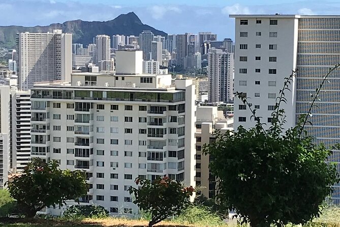 Private Pearl Harbor and Honolulu City Tour - Who should book this tour (and who might want a different plan)?