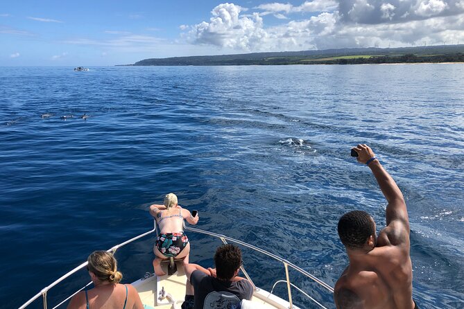 Private Whale Watching Safari from North Shore Oahu - Bonus marine life and why it changes your whole day