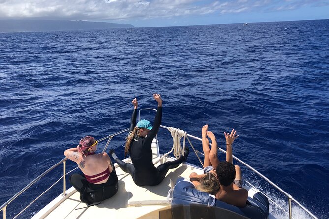 Private Whale Watching Safari from North Shore Oahu - Is this private safari good value for families and small groups?
