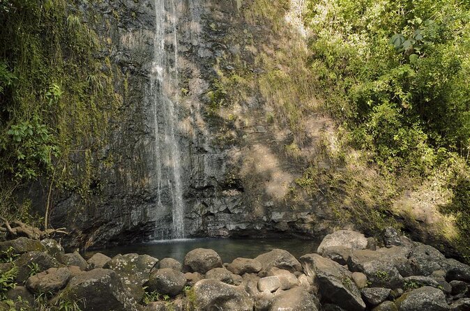 Self guided Hike Trail to Nature Walk & Waterfall - Key highlights you’ll feel fast