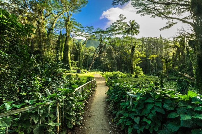Self guided Hike Trail to Nature Walk & Waterfall - Manoa Falls on Oahu: Why This Rainforest Hike Works