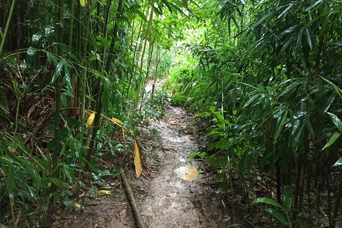 Self guided Hike Trail to Nature Walk & Waterfall - Manua Falls Viewing Time: When Movies Meet Muddy Reality