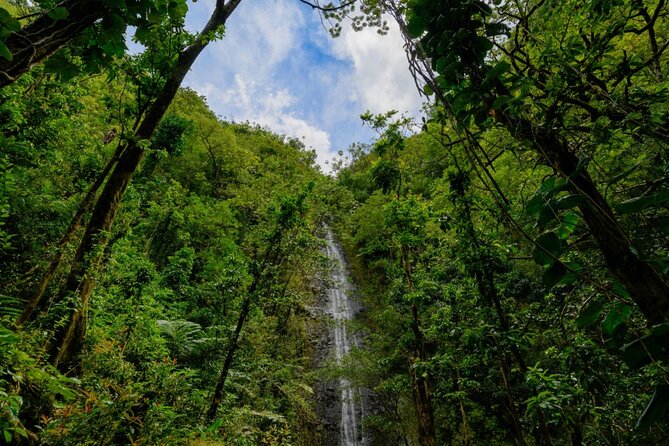 Self guided Hike Trail to Nature Walk & Waterfall - Price and Value: Is $79 a Good Deal for This 3-Hour Day?