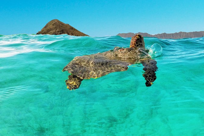 Self-Guided Kayaking Discovery in Kailua, Oahu - The Route Logic: Lanikai Beach, Mokulua Islands, and Kailua Return