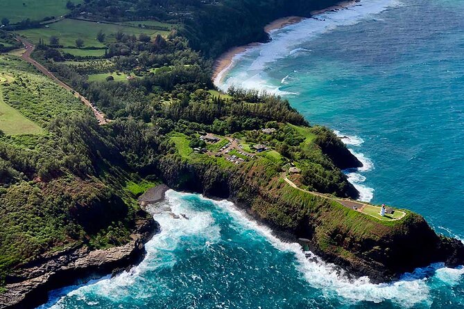 Shared Round-Trip Transfer: Honolulu Airport to Hotel or Cruise Terminal - Who this transfer suits best (and who should consider other options)