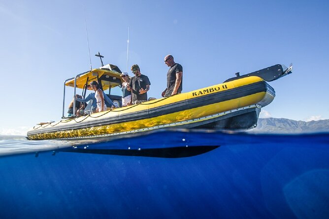 Shark-Dive Tour on Oahu's North Shore - Crew vibe and named captains: the human factor
