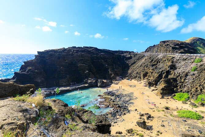 Sights & Bites Ultimate Oahu Circle Island Foodie Tour - Aloha Shrimp: The North Shore Lunch Option You Can Customize