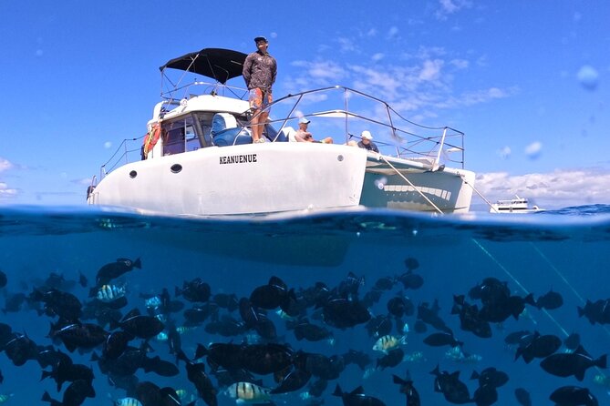 Small Group Turtle Canyon Snorkel in Waikiki (Boat Tour) - Quick hits you’ll feel right away