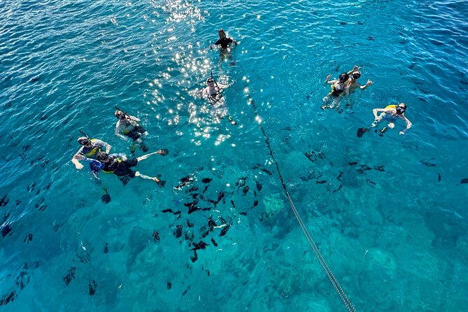 Small Group Turtle Canyon Snorkel in Waikiki (Boat Tour) - Waikiki Beach stop: where the trip starts to make sense
