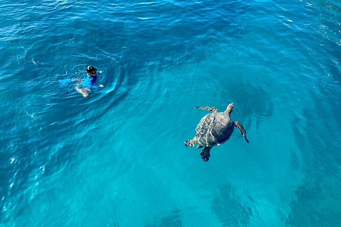 Small Group Turtle Canyon Snorkel in Waikiki (Boat Tour) - Staying comfortable: shade, bathrooms, water, and included drinks