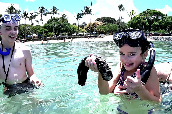 Snorkeling in Waikiki Many Fish All Levels Free Video & Pics! - Quick Hits You Should Know