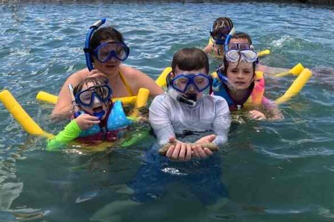 Snorkeling in Waikiki Many Fish All Levels Free Video & Pics! - The Gear Rules: Floating First, Fins Only If You Know Them