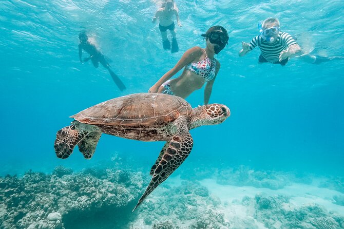 Snorkeling with Sea Turtles in Waikiki Hawaii Boat Tour - Pickup, Kewalo Basin Harbor, and the catamaran feel