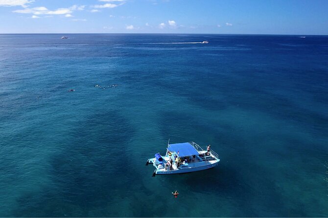 Snorkeling with Sea Turtles in Waikiki Hawaii Boat Tour - Price and value: what $125 covers in real-life convenience