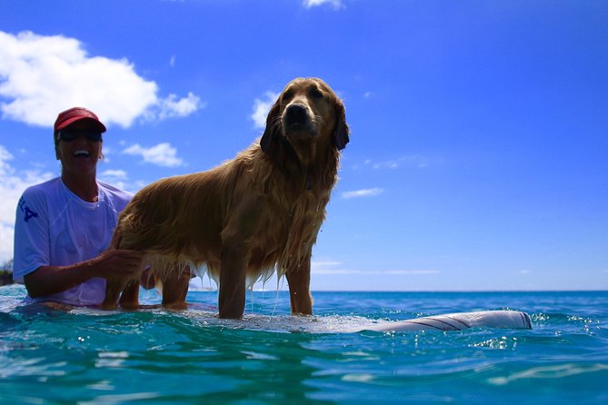 Surf Lessons on the North Shore of Oahu - Key Highlights You’ll Care About