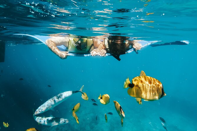 Swim with Dolphins Catamaran with Waterslide & Lunch on Oahu - Getting there early: Waianae harbor, pickup timing, and the “morning brain” plan