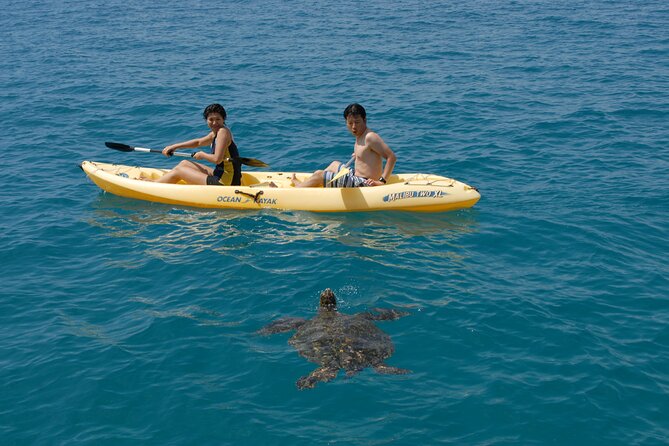 Swim with Dolphins Catamaran with Waterslide & Lunch on Oahu - Waterslide, SUP, kayaking, and the floating mat: how the boat becomes the hangout