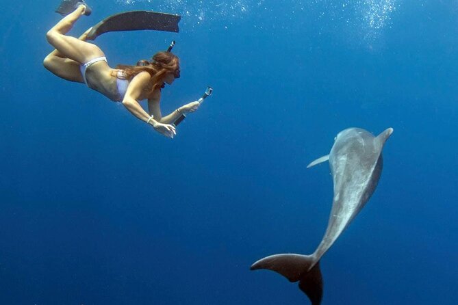 Swim with Dolphins Catamaran with Waterslide & Lunch on Oahu - Crew and safety: what “professional” looks like in real life