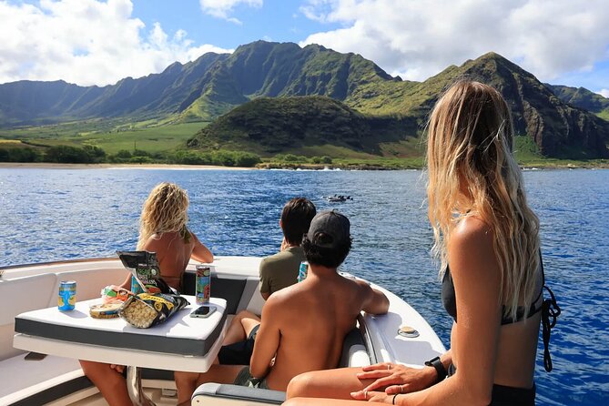 Swim With Dolphins & Turtles in West Oahu (Semi-Private Tours) - When the ocean throws extra wildlife your way