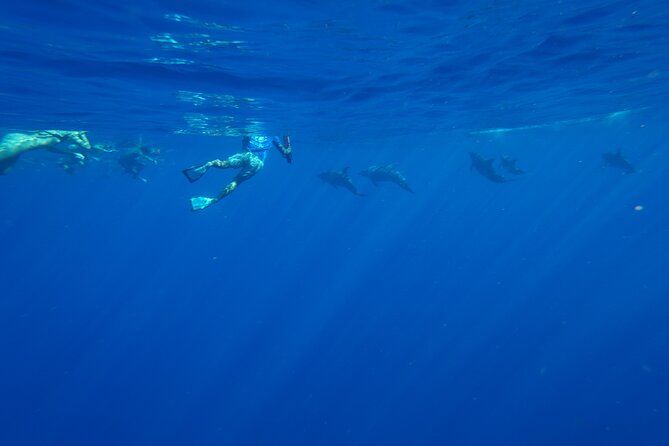 Swimming with Wild Dolphins Speedboat Adventure on Oahu - Makaha lunch stop: snacks, tea, and a real meal break