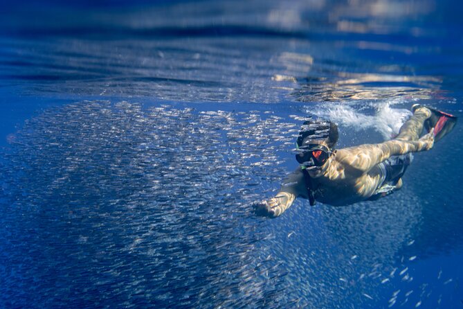 Swimming with Wild Dolphins Speedboat Adventure on Oahu - West Oahu coastline views and the whale season bonus