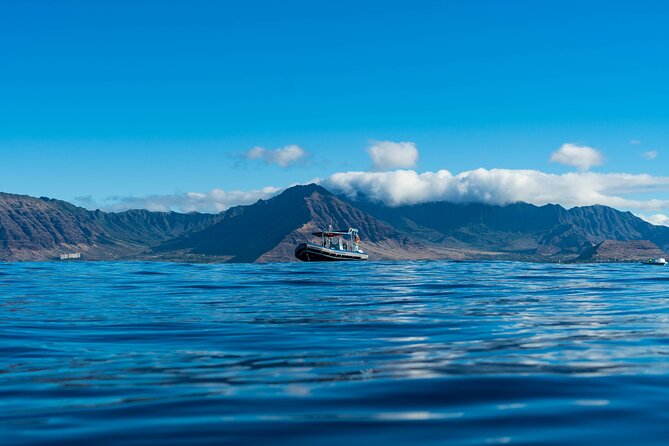 Swimming with Wild Dolphins Speedboat Adventure on Oahu - Dolphin swimming offshore: what multiple drops really mean