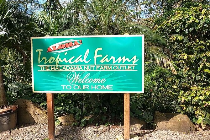Tour of North Shore & Waimea Waterfall - Tropical Farms, Kahuku Snacks, and Chinaman’s Hat in One Day