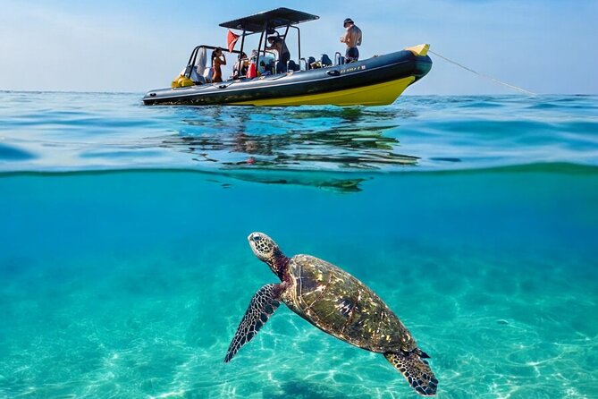 Turtle Canyon Snorkel Adventure - Small Group 6 Passengers - Turtle Canyon in a Speedboat: Why Small Changes Everything