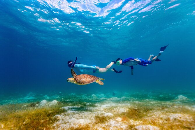 Turtle Canyon Snorkel Adventure - Small Group 6 Passengers - The Waikiki Cruise: What the 28-Foot Ride Feels Like