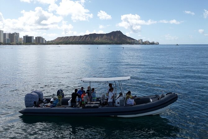 Turtle Canyon Snorkel: Semi Private Boat Tour - Wildlife beyond sea turtles: dolphins, monk seals, and reef life