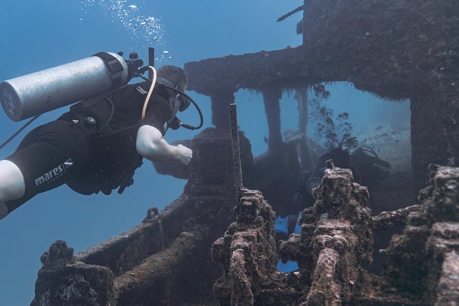 Waikiki 2 Tank World Class Wreck SCUBA Diving - Certified Only - The Crew and Safety: What You’re Buying Beyond Gear