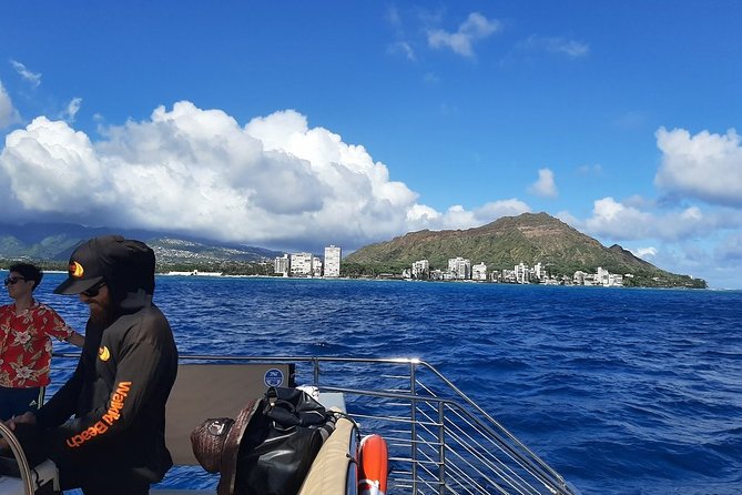 Waikiki 3pm Tradewind Sail - Open Bar Included - Wildlife watch: humpback season, plus dolphins and turtles