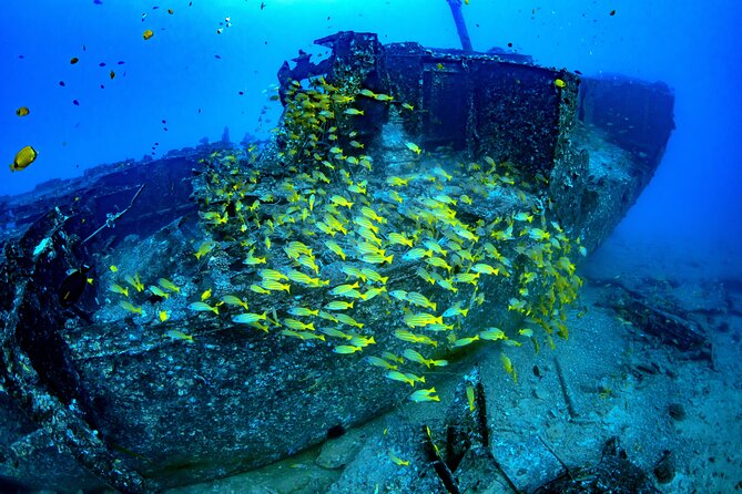 Waikiki: Atlantis Submarine Adventure - Your guide and the multilingual audio: what you’ll hear during the ride