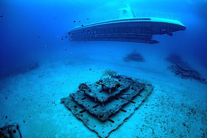 Waikiki: Atlantis Submarine Adventure - Underwater windows at about 100 feet: how the 45-minute experience plays out