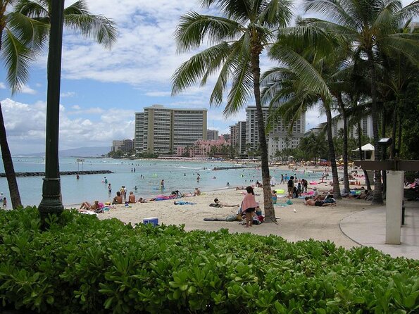 Waikiki Beach Glass Bottom Boat Cruise - Key Points I’d Bookmark Before You Go