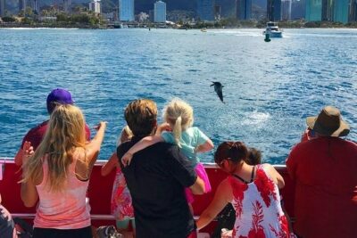 Waikiki Beach Glass Bottom Boat Cruise - Price: Why $46 for an Hour Can Be a Smart Move