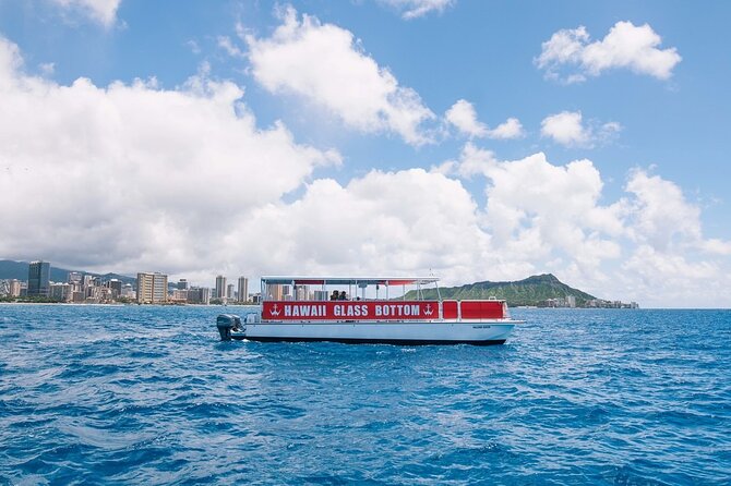 Waikiki Beach Glass Bottom Boat Cruise - Stop 2: Waikiki Beach Toward Diamond Head for Reef Fish and Turtle Spotting