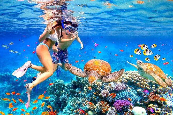Waikiki Catamaran Escape: Snorkel with Turtles & Water Sports Fun - Waikiki Catamaran Escape: Why This Turtle Tour Feels Like a Real Water Day