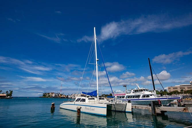 Waikiki Catamaran Snorkel Sail with Lunch: Turtles Guaranteed - Price and Value: Is $134.95 Worth It?