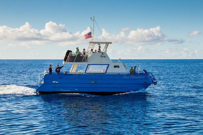 Waikiki Deluxe Catamaran Whale Watch - Price and value: does $89 make sense here?