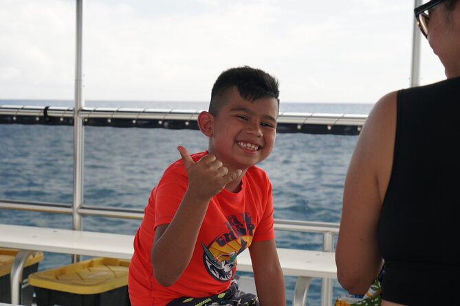 Waikiki Green Sea Turtle Snorkeling Tour - Boat Excursion - Wildlife odds: turtles first, then dolphins and whales if you’re lucky