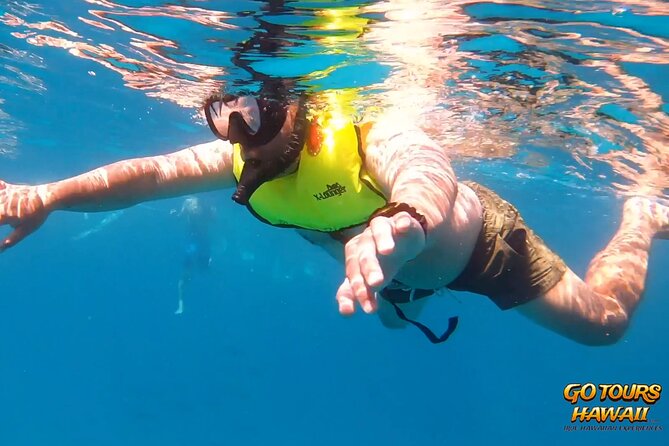 Waikiki Green Sea Turtle Snorkeling Tour - Boat Excursion - On-board setup: gear, water, and small comfort wins